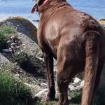 Jean Marc Creach - @creach.jeanmarc - Instagram