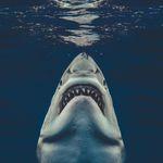 Marc Crook - @marc.crook - Instagram
