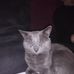 Marc Crook - Facebook