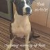 Mark Dabbs - Facebook