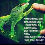 Marc Daigle Reptiles - @marcdaiglereptiles - Instagram
