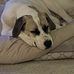 Mark Dalpe - Facebook