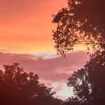 Marc Davidoff - @mcdavidoff - Instagram