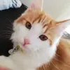 ダヤン🤝 - @marcy.dayan - TikTok