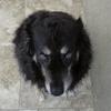 Marcus Deaver - @bigb0ss4902 - TikTok