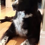 Marc Decarie - @decarie.marc - Instagram