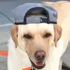 Marc Dedrick - @marc.dedrick7 - TikTok