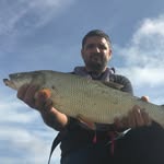 Marc Delvael - @marcdelvael - Instagram