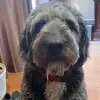 Marc - @marcdemello - TikTok
