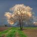 Marc Deroy - Facebook