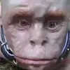 Name - @marco.devita - TikTok