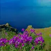 marcos Deweese - @marcos.deweese - TikTok