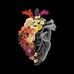 Marc Dich - Facebook