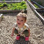 Marc Dipietro - @marcd203 - Instagram