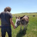 Marc Doherty - @sm0ckmd - Instagram