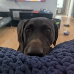 Marc-André Médic Dolbec - @marc_gis - Instagram