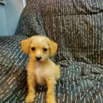 marc doss - @marcdoss01 - Instagram