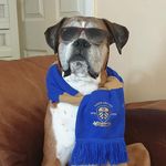 marc doyle - @marcdoyle2 - Instagram