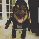 Marc-Anthony Doyon - @o_doyon_rules - Instagram