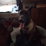Marc Dubois - Facebook