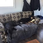 Jean-marc Drapeau - @drapeaujeanmarc - Instagram