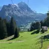 Marc Ducret - @marc.ducret1 - TikTok