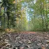 marc_etienne_mcduff - @marc_etienne_mcduff - TikTok