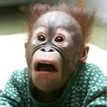 Marc Dumais - @marcdumais - Instagram