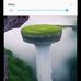 Marc Wilson Dumerzier - Facebook