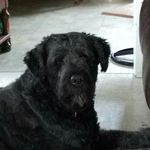 Marc Dussault - @marc.dussault19544 - Instagram