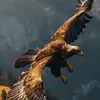 marcel_eagle 🦅 - @marceleagle - TikTok