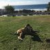 Marc Earl - Facebook