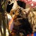 Marci Ebert - Facebook