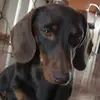 marco - @marcoteckel - TikTok