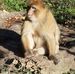 Marc Eckert - Facebook