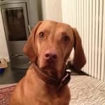 Marc Eckert - @marc.eckert4 - Instagram
