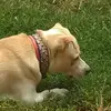 Marc Eckert - @marc.eckert - TikTok