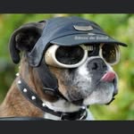 Jean Marc Ehlinger - @jeanmarcehlinger - Instagram