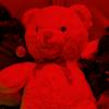Marco - @marcoehrlich77 - TikTok