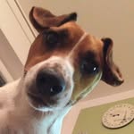 Marc_Eis - @marc_6299 - Instagram