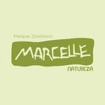 Marcelle Natureza - @marcellenatureza - Instagram