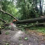 Marcell Mann - @marcell.mann - Instagram