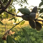 @marcellmandula - Instagram