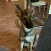 marc.emma - @emma.lamina - TikTok