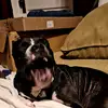 Marc Dennis - @marc.dennis0 - TikTok