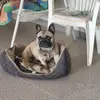 espadamachadomarc - @espadamachadomarc - TikTok