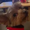marcyeverett240 - @marcyeverett240 - TikTok
