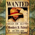 Marc Falco - @monkey_d.falco - Instagram