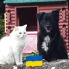 marcfarissier166 - @marcfarissier166 - TikTok