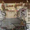 marcfedderke - @marcfedderke - TikTok